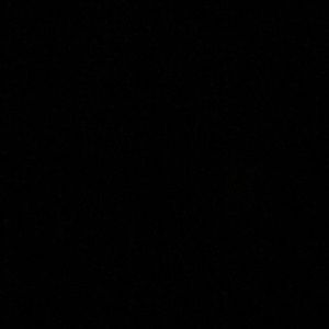 Meet your Posher, Erwin